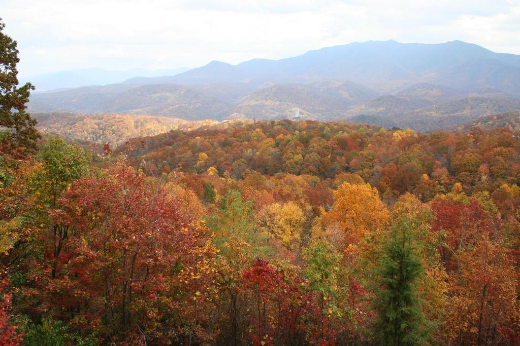 The Foxtrot Bed And Breakfast Gatlinburg Zewnętrze zdjęcie